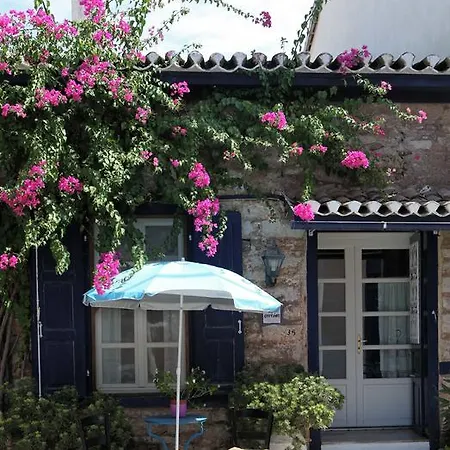 Apartment To Spitaki
